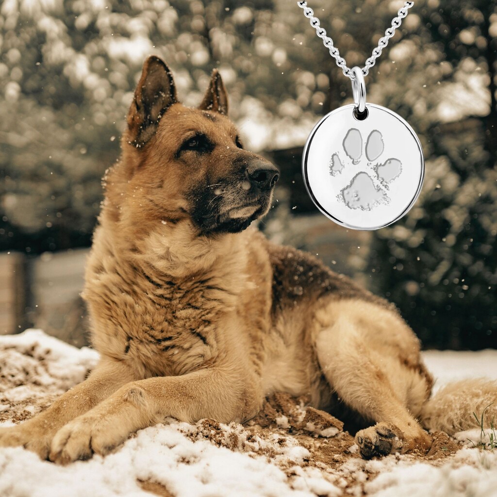 Hund Katze Tier Schmuck Pfotenabdruck Vierpfoten Anhänger Erinnerungen Tierliebe Kette Trauerschmuck